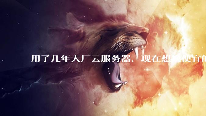 用了几年大厂云服务器，现在想换便宜的，有推荐的吗?