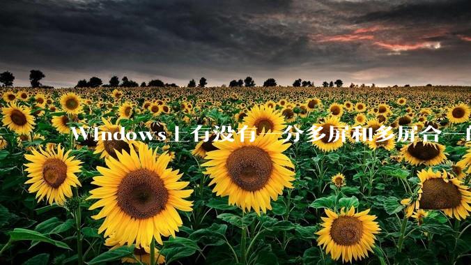 Windows上有没有一分多屏和多屏合一的软件？
