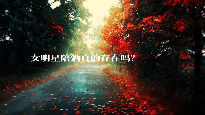 女明星陪酒真的存在吗？