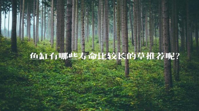 鱼缸有哪些寿命比较长的草推荐呢？