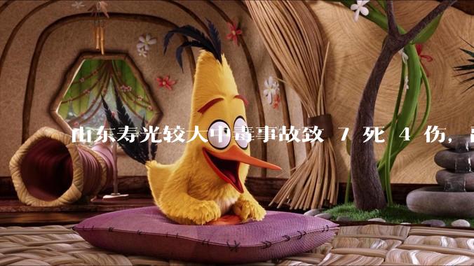 山东寿光较大中毒事故致 7 死 4 伤，副市长等 26 人被问责，此事有哪些警示意义？
